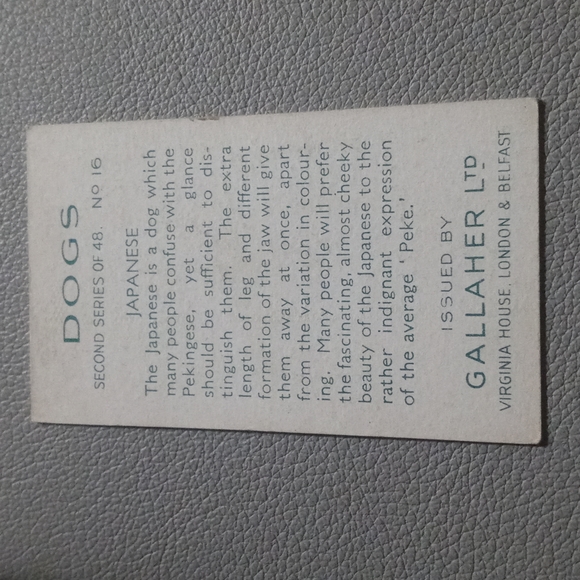 JAPANESE CHIN  Toy Dog   Original 1938 Illustrated Card - Picture 2 of 2